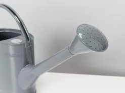 Outdoor Waterfall Watering Can 5L 12 Outdoor Waterfall Watering Can 5L -Plants in a Box Sales Shop LargeGreyWateringCan detail3