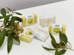 Natural Lemon Myrtle Soap -Plants in a Box Sales Shop LemomMyrtleSoap detail 3