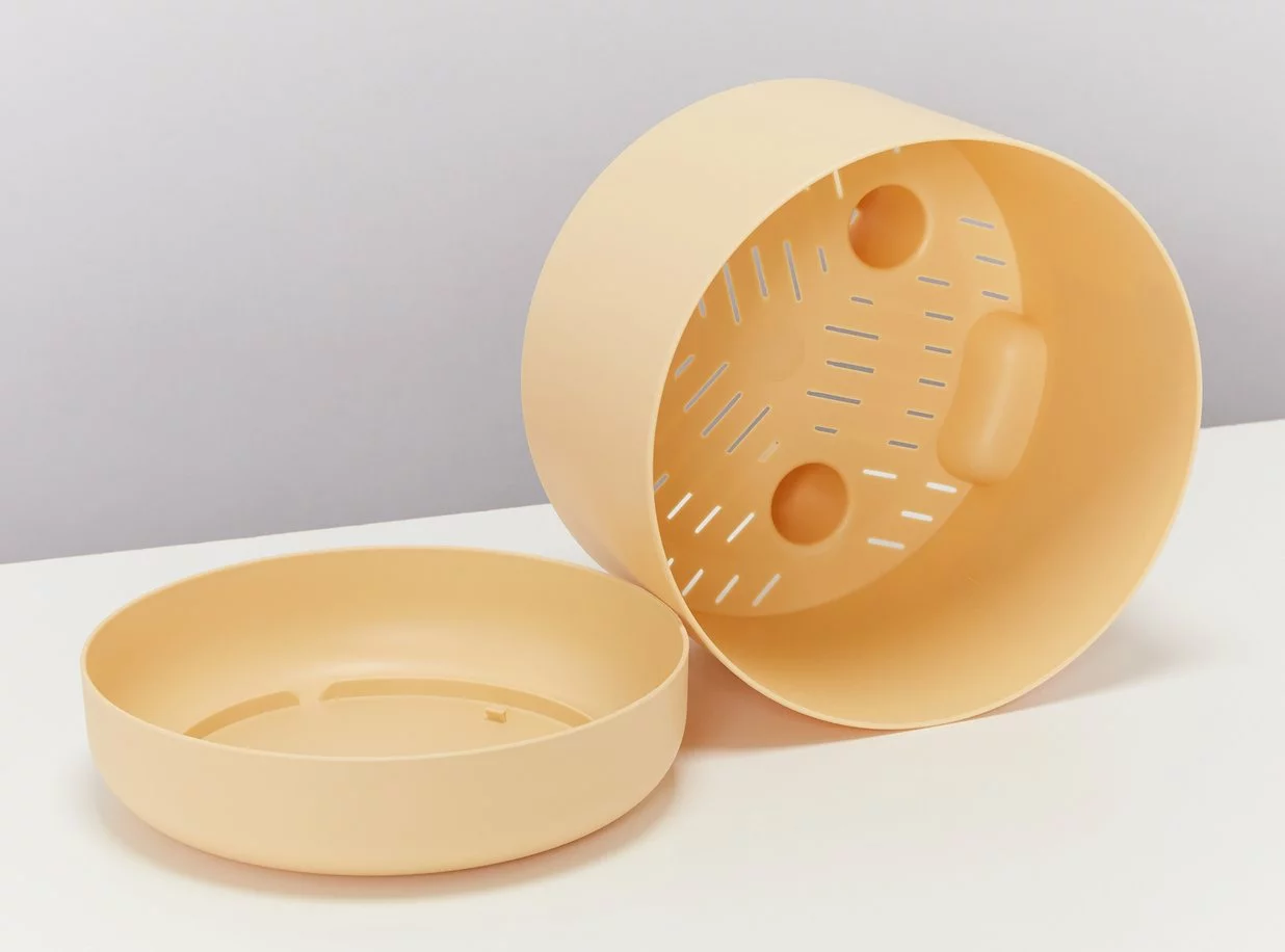 Calathea Ornata Sanderiana - Pot + Plant + Soil 12 Calathea Ornata Sanderiana - Pot + Plant + Soil - Image 10