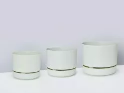 Self-Watering Pot Clusters - 3 Different Sizes -Plants in a Box Sales Shop Mr Kitly Sizex3 Fog