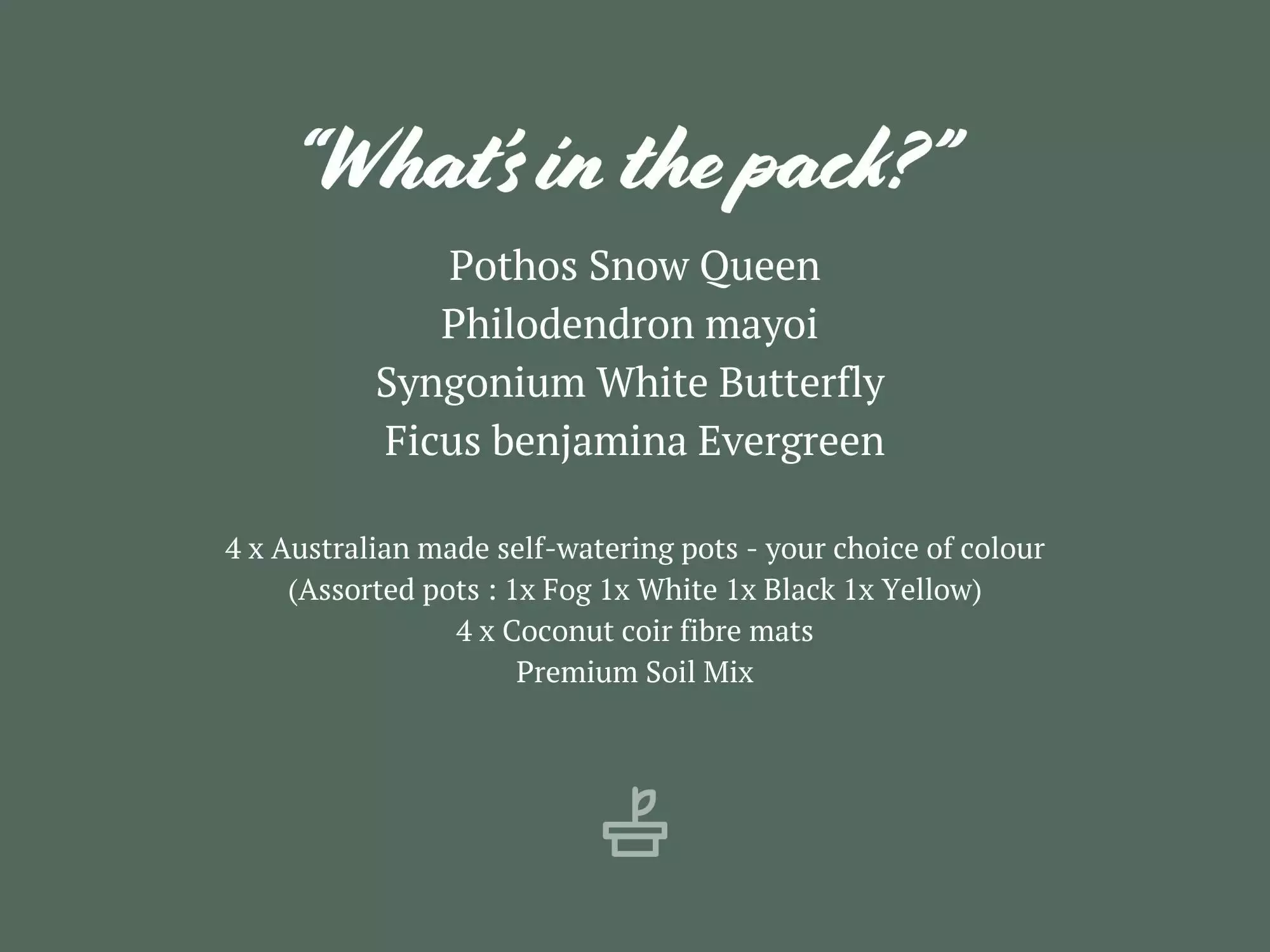 4 Plants & 4 Self-Watering Pot Set - With Soil Mix 7 4 Plants & 4 Self-Watering Pot Set - With Soil Mix - Image 5