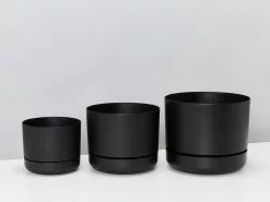 3 Plants & 3 Assorted Sized Self-Watering Pot Set -Plants in a Box Sales Shop MrKitlyAssortedSize Black