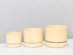 3 Plants & 3 Assorted Sized Self-Watering Pot Set -Plants in a Box Sales Shop MrKitlyAssortedSize Buff 4d0c34d3 2f67 4bdc 842c c8e196e173c2