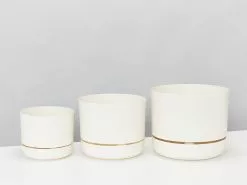 3 Plants & 3 Assorted Sized Self-Watering Pot Set -Plants in a Box Sales Shop MrKitlyAssortedSize Linen 1