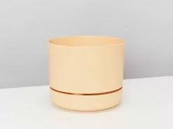 3 Plants & 3 Self-Watering Pot Set - 215mm -Plants in a Box Sales Shop MrKitlyBuff215 Single