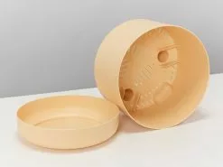 Plants in a Box Sales Shop -Plants in a Box Sales Shop MrKitlyBuff250 detail