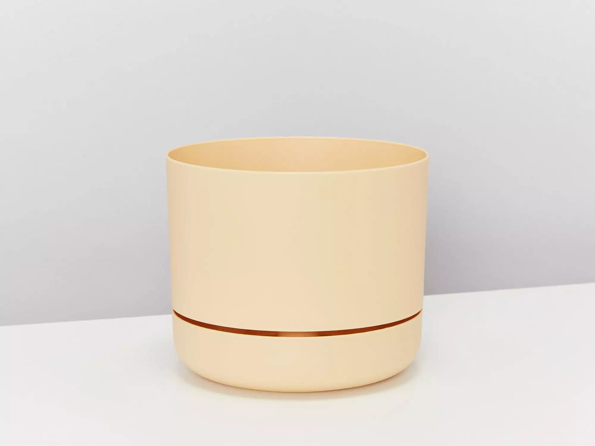 Peperomia Silver Ripple - Pot + Plant + Soil 10 Peperomia Silver Ripple - Pot + Plant + Soil - Image 8