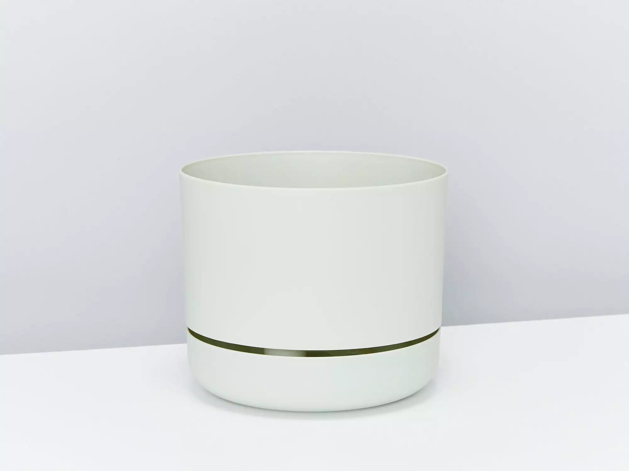 Aloe White Beauty - Pot + Plant 10 Aloe White Beauty - Pot + Plant - Image 8