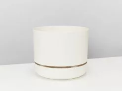 Air Purifier Pot & Plant Set - XLarge -Plants in a Box Sales Shop MrKitlyLinen250 Single 50a29734 364b 4d15 970f 87dad3e7514a