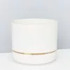 White Linen Self-Watering Pots 250mm -Plants in a Box Sales Shop MrKitlyLinen 170mm 4eac94b9 c46a 464d a5d5 3e2f4d502ec6
