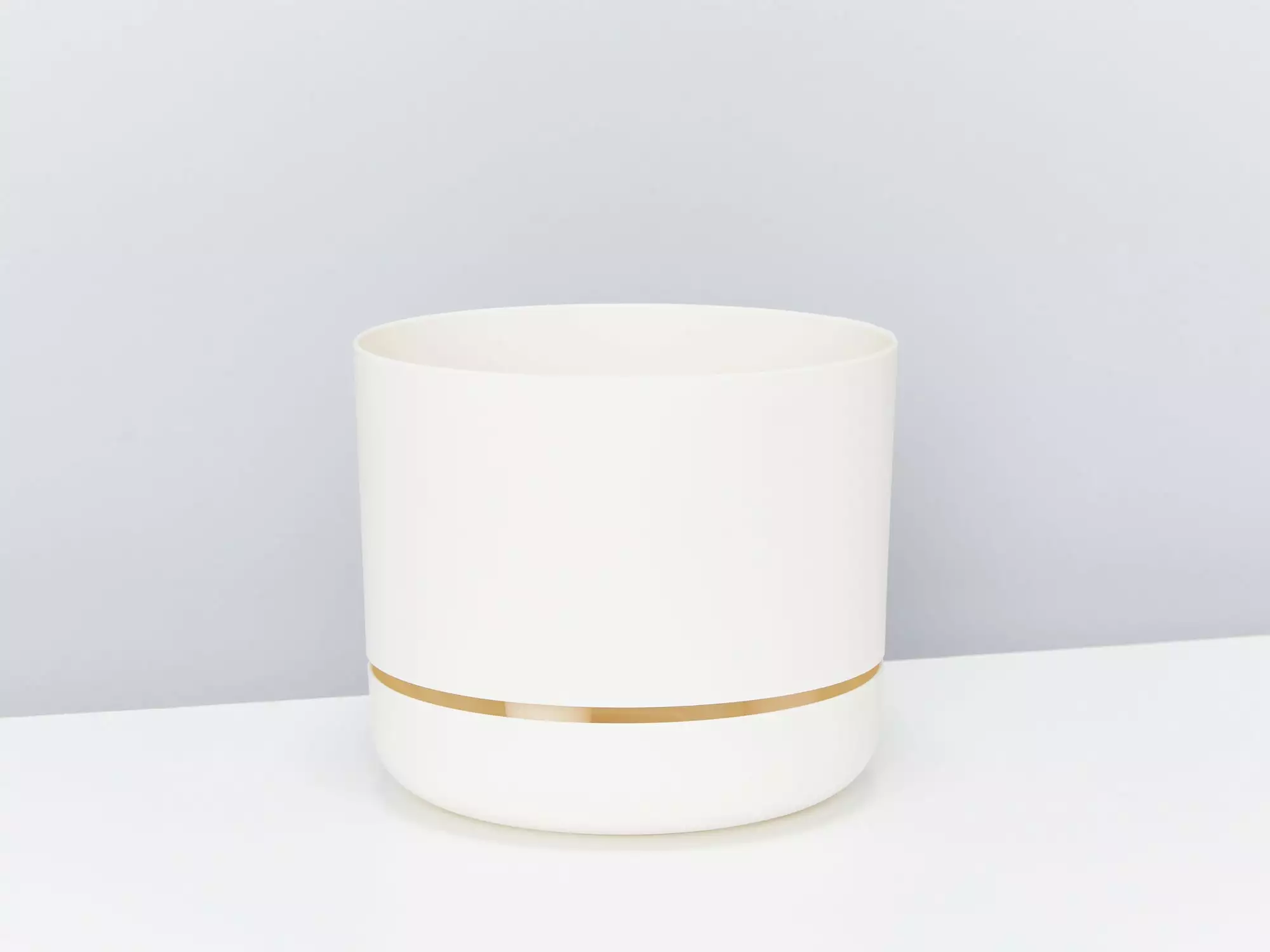 Aloe White Beauty - Pot + Plant 11 Aloe White Beauty - Pot + Plant - Image 9