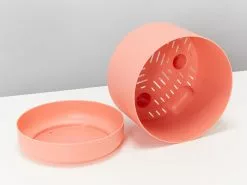 Hoya Gift Box - Includes Pot + Plant Stake + Soil -Plants in a Box Sales Shop MrKitlyPersimmon170mmPot detail 1f2a65a0 1982 4127 9e4b bbc0d529e6ad