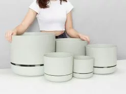 Self-Watering Pots 375mm - For XL Plants -Plants in a Box Sales Shop MrKitlyRange Fog02