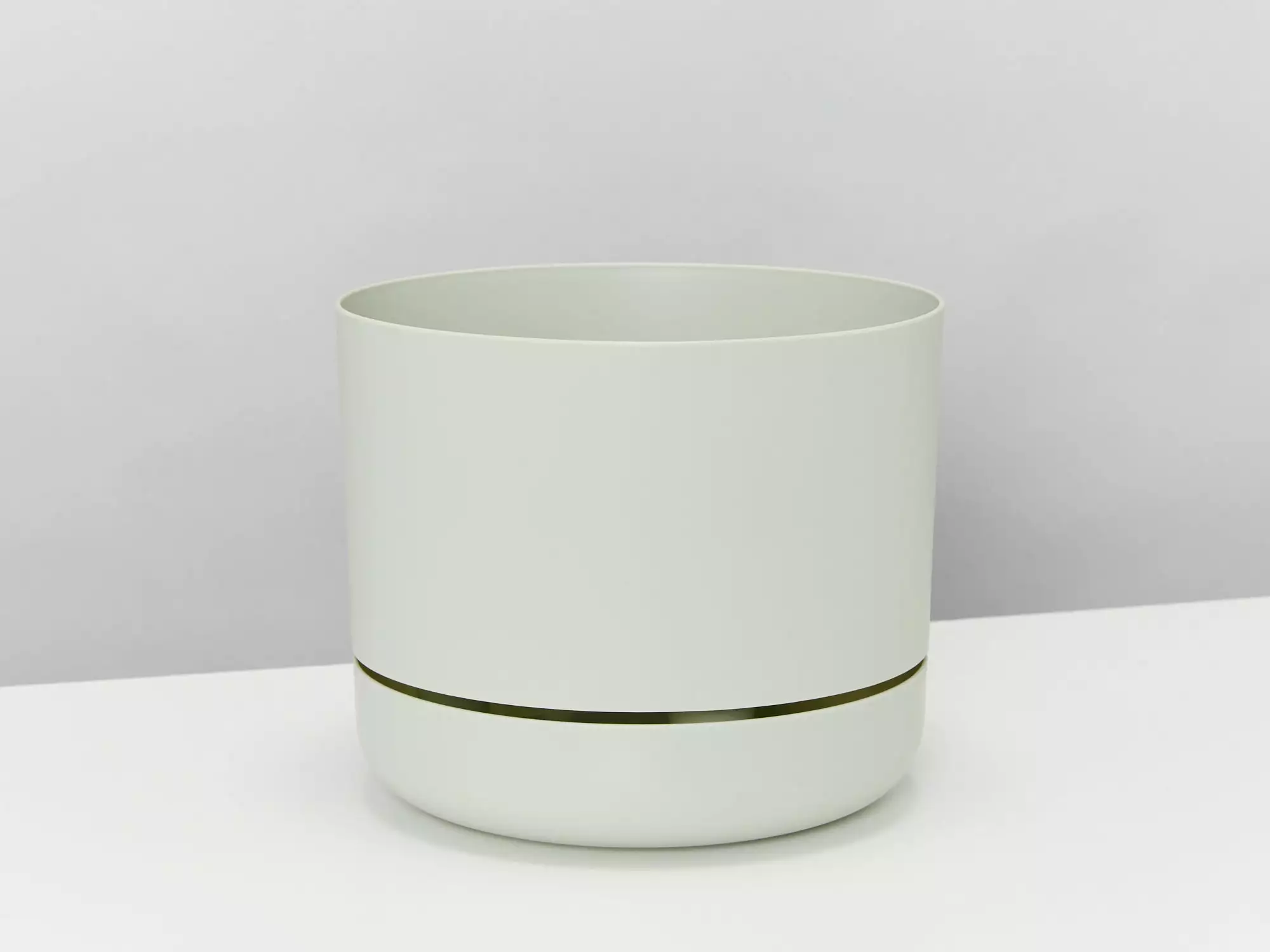 Hoya Krimson Queen Gift Box - Includes Stake 11 Hoya Krimson Queen Gift Box - Includes Stake - Image 9