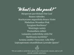 Australian Native Mixed Pack -Plants in a Box Sales Shop NativeMixedPack 3