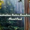 Australian Native Rainforest Mixed Pack -Plants in a Box Sales Shop NativeRainforestMixed Brand Text