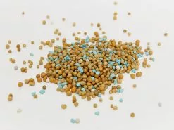 Osmocote Roses, Gardenias, Azaleas & Camellias Fertiliser 10 Osmocote Roses, Gardenias, Azaleas & Camellias Fertiliser -Plants in a Box Sales Shop Osmocote700gRosesGardensAzaleasCamellias detail3