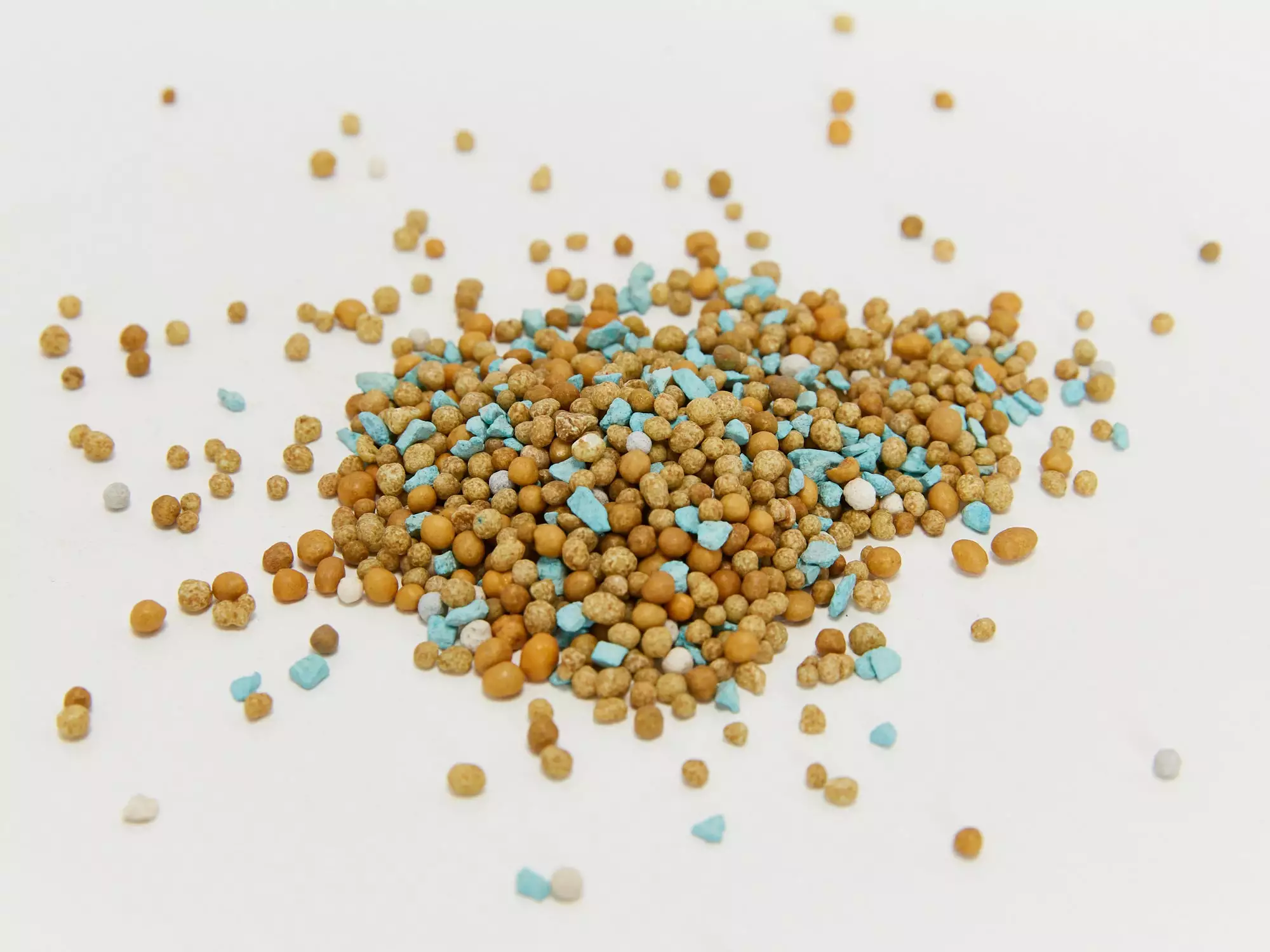 Osmocote Roses, Gardenias, Azaleas & Camellias Fertiliser 6 Osmocote Roses, Gardenias, Azaleas & Camellias Fertiliser - Image 4