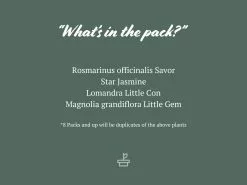 Pet-Friendly Outdoor Plant Box 🈠Non-Toxic 13 Pet-Friendly Outdoor Plant Box 🈠Non-Toxic -Plants in a Box Sales Shop Outdoorpetfriendly