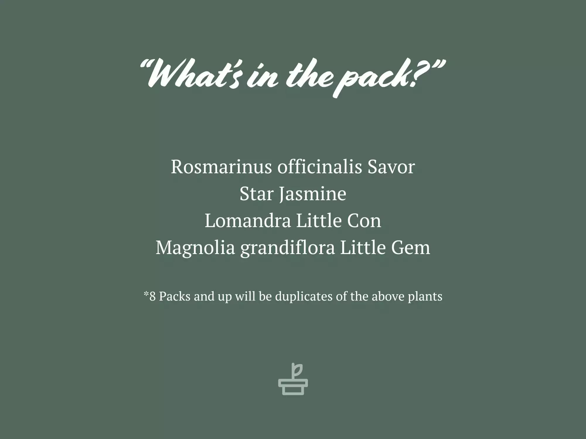 Pet-Friendly Outdoor Plant Box 🈠Non-Toxic 8 Pet-Friendly Outdoor Plant Box 🈠Non-Toxic - Image 6