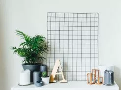 Chamaedorea Elegans Parlour Palm 10 Chamaedorea Elegans Parlour Palm -Plants in a Box Sales Shop PARPAL2 RS 8a12f16f 7fd0 4d35 a059 dc02c3297912