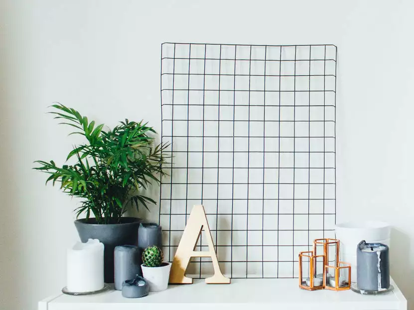 Chamaedorea Elegans Parlour Palm 6 Chamaedorea Elegans Parlour Palm - Image 4