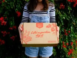 Radermachera "Summer Scent" - 85mm -Plants in a Box Sales Shop PIABBox02