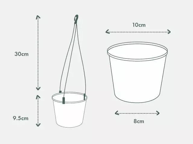 Variegated Chain Of Hearts ♡ 10 Variegated Chain Of Hearts ♡ - Image 8