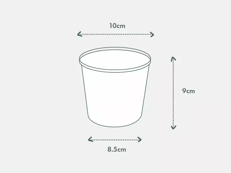 Syngonium Pink Confetti 🎉- Pot + Plant + Soil 20 Syngonium Pink Confetti 🎉- Pot + Plant + Soil - Image 18