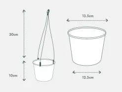 String Of Beans -Plants in a Box Sales Shop PIAB Diagrams 125Hanging 9070d441 8bf6 40be 82a4 9a34c0e68b15