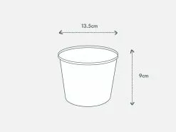 Calathea Julia - Pot + Plant + Soil 33 Calathea Julia - Pot + Plant + Soil -Plants in a Box Sales Shop PIAB Diagrams 125 3368b8af 6fd5 4993 bc4c 1ee0aa8b802d