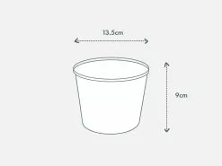 Philodendron Birkin - Pot + Plant + Soil -Plants in a Box Sales Shop PIAB Diagrams 125 86a91691 44c8 4430 b093 c5a1ad690ca2