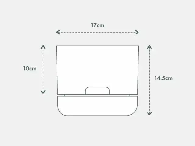 Calathea Julia - Pot + Plant + Soil 17 Calathea Julia - Pot + Plant + Soil - Image 15