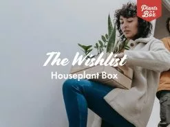 The Houseplant ðŸ’« Wishlist Box