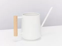 Compact Indoor Watering Can