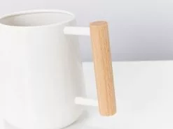 Compact Indoor Watering Can -Plants in a Box Sales Shop PLANTINABOXTEST14197