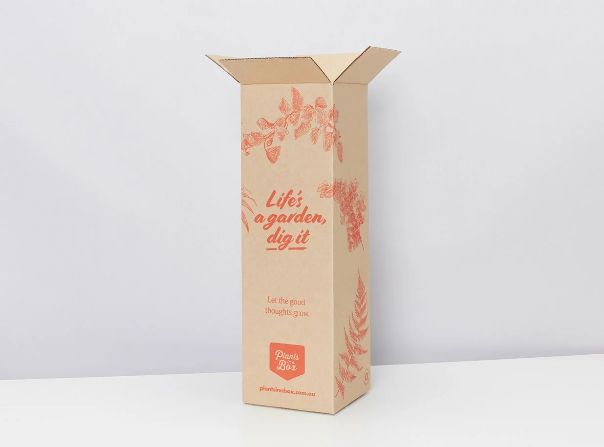 Syngonium Pink Confetti 🎉- Pot + Plant + Soil 19 Syngonium Pink Confetti 🎉- Pot + Plant + Soil - Image 17