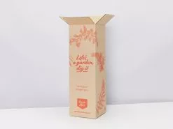 Holiday Home Houseplant Box - Large -Plants in a Box Sales Shop PLANTINABOXTEST16041 7c160ffe 08a8 4baf 9bd4 b70df1248d74