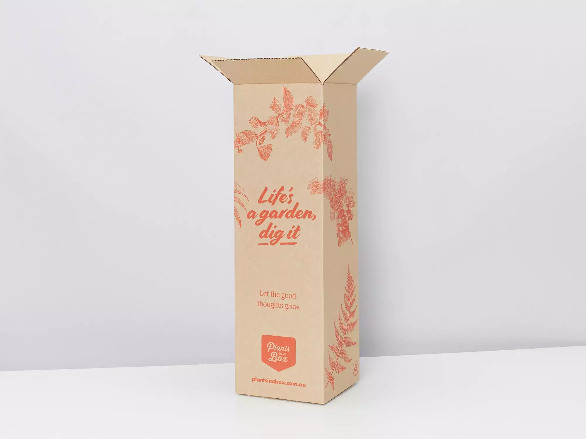 Elho Eco Friendly â™»ï¸Gift Box - Pick Your Own Houseplant 21 Elho Eco Friendly â™»ï¸Gift Box - Pick Your Own Houseplant - Image 19