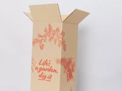 Rhaphidophora Gift Box - Pot + Plant + Soil + Double Arch Stake -Plants in a Box Sales Shop PLANTINABOXTEST16042 90d00e25 db77 4520 86d8 04953b67d97e