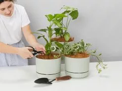 Self-Watering Pot Clusters - 3 Different Sizes -Plants in a Box Sales Shop PLANTINABOXTEST1643 0b2bf95e 82d7 4307 825e 815b5400dd9d