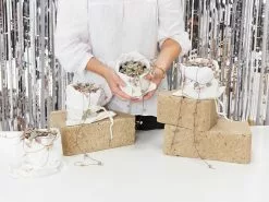 Variegated Chain Of Hearts ♡ 16 Variegated Chain Of Hearts ♡ -Plants in a Box Sales Shop PLANTINABOXTEST19870