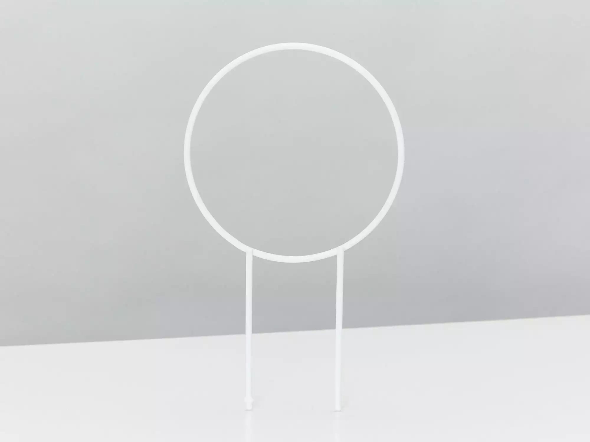 Hoya Krimson Queen Gift Box - Includes Stake 6 Hoya Krimson Queen Gift Box - Includes Stake - Image 4