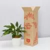 Elho Eco Friendly â™»ï¸Gift Box - Peace Lily 2 Elho Eco Friendly â™»ï¸Gift Box - Peace Lily -Plants in a Box Sales Shop PLANTINABOXTEST41102