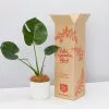 Elho Eco Friendly â™»ï¸ Gift Box - Monstera Deliciosa -Plants in a Box Sales Shop PLANTINABOXTEST41103