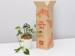 Elho Eco Friendly â™»ï¸Gift Box - Pick Your Own Houseplant 25 Elho Eco Friendly â™»ï¸Gift Box - Pick Your Own Houseplant -Plants in a Box Sales Shop PLANTINABOXTEST41105