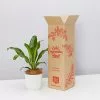 Elho Eco Friendly â™»ï¸Gift Box - The Happy Plant -Plants in a Box Sales Shop PLANTINABOXTEST41109 1