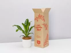 Elho Eco Friendly â™»ï¸Gift Box - The Happy Plant