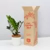 Elho Eco Friendly â™»ï¸Gift Box - ZZ Plant 1 Elho Eco Friendly â™»ï¸Gift Box - ZZ Plant -Plants in a Box Sales Shop PLANTINABOXTEST41114 2