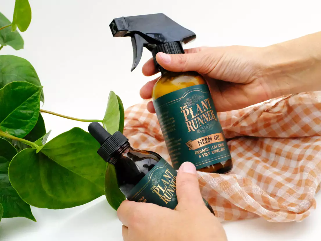 Indoor Plant Care Pack 4 Indoor Plant Care Pack - Image 2